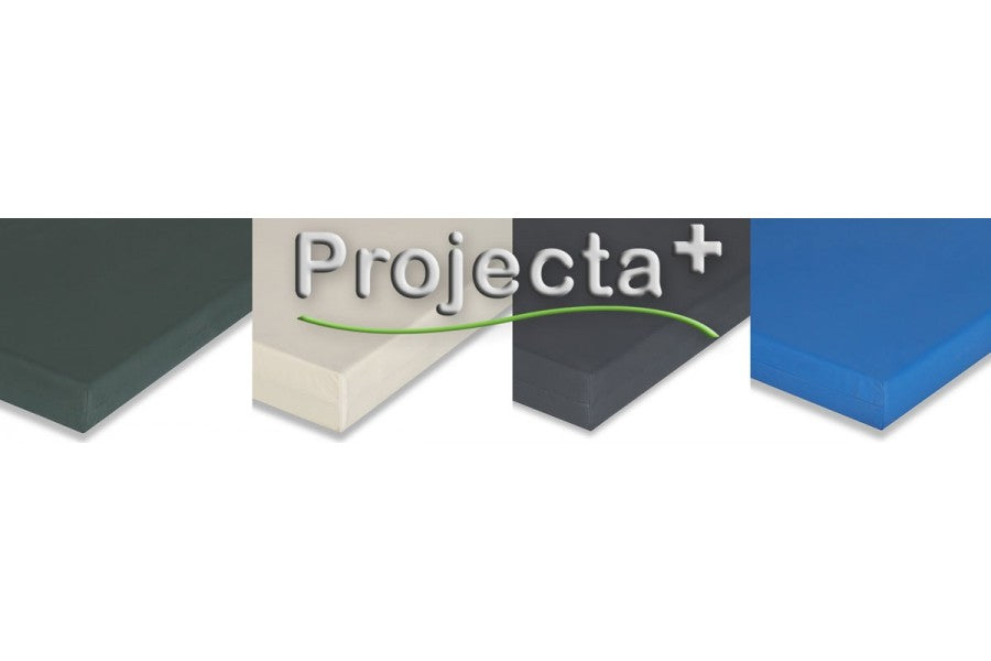 Waterdichte Kussenhoezen Projecta Plus