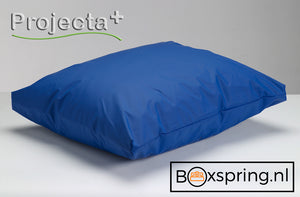 Waterdichte Kussenhoezen Projecta Plus Blauw